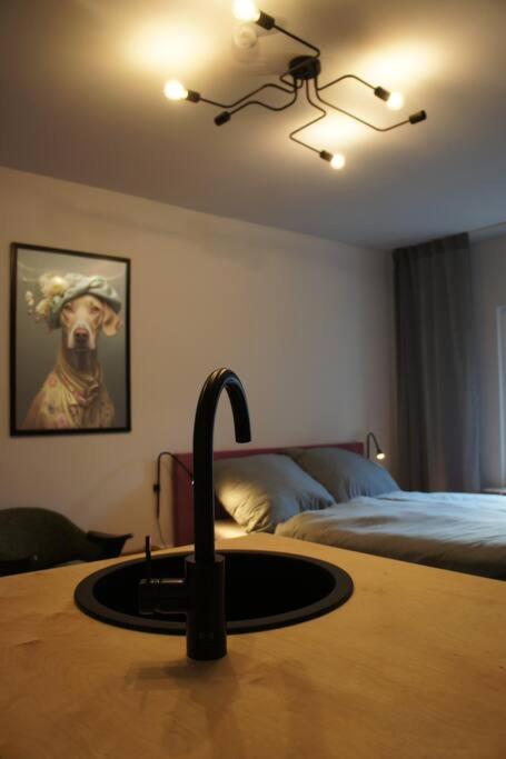 Ruhiges Apartment & Veranda Mit Guter Anbindung 波鸿 外观 照片